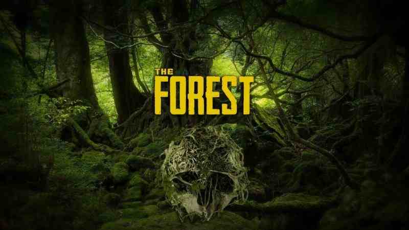 小粉steam游戏迷失森林theforest02介绍有免费加速器